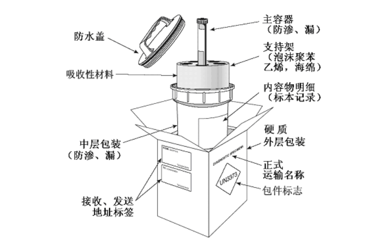 茄子视频为爱而生病源微生物运输